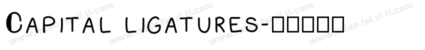 Capital ligatures字体转换